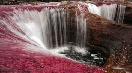 вижте красивата река света