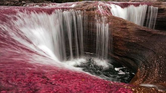 Вижте най-красивата река в света