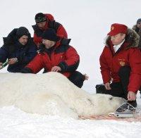 Путин се стяга за експедиция до Северния Ледовит океан