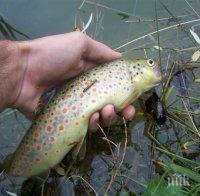 Спипаха прокурор с нелегален улов на риба 