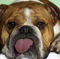 В Кюстендил намалиха такса 