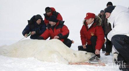 путин стяга експедиция северния ледовит океан