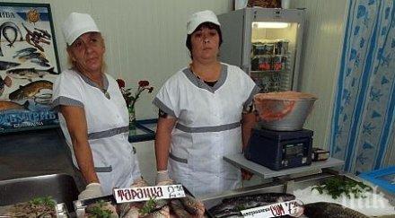 рибната борса бургас настръхна търговци готвят протест заради строеж