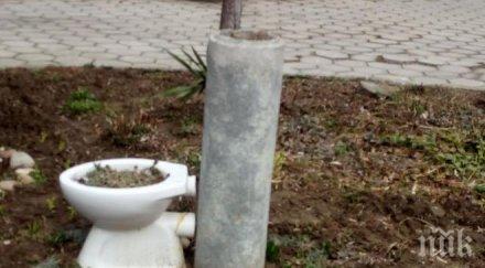 майтап тоалетна чиния стана саксия