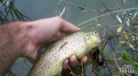 спипаха прокурор нелегален улов риба