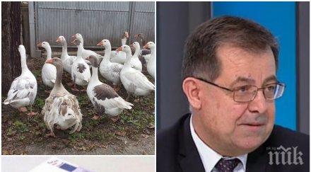 тотален хит гъските нас глътнали млн евро програмата биологично земеделие минус млн лева