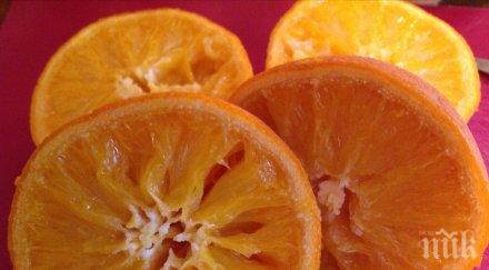 заради споровете холандия турция убиват портокали