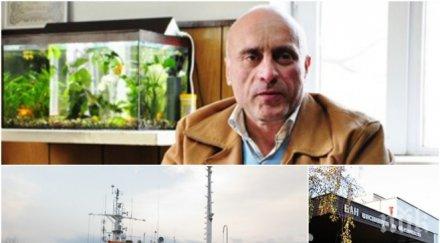 мистерията заплита изчезналият професор жертва обществена поръчка подводната мафия рапаните