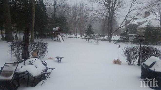 ЕКСКЛУЗИВНО И САМО В ПИК! Ню Йорк в леден капан! Ето как оцеляват българите в снежния ад, откъснати от работата си (СНИМКИ)