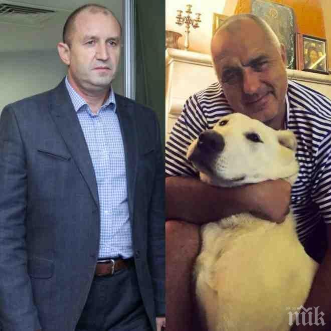 САМО В ПИК И РЕТРО! Президентът Румен Радев: По-сам съм от овчарката на Бойко Борисов в Банкя!