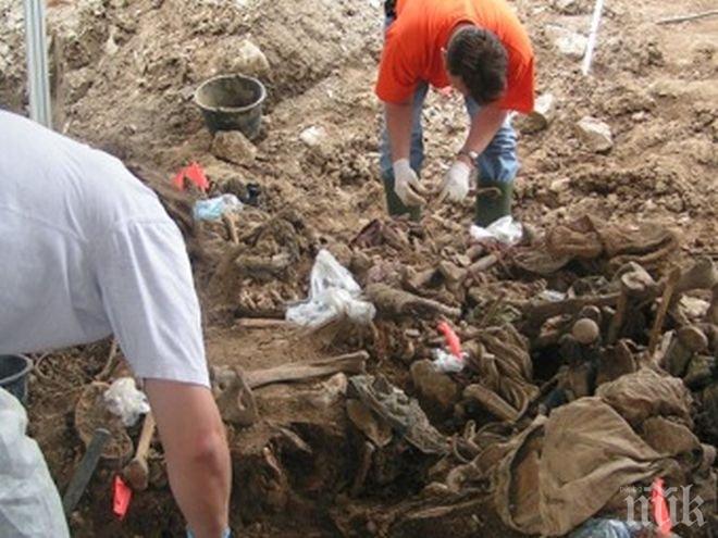 ПОТРЕС! Труповете на 250 жертви на наркомафията намерени край Мексиканския залив 