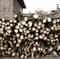 Провериха десетки къщи в Добричко за незаконна дървесина


