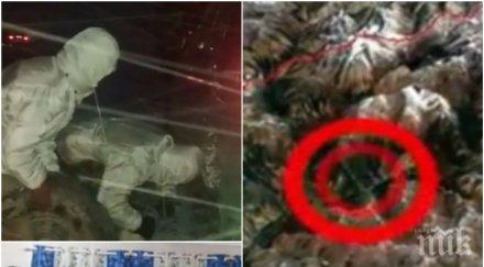 трагедия българка загинала снежна буря хималаите