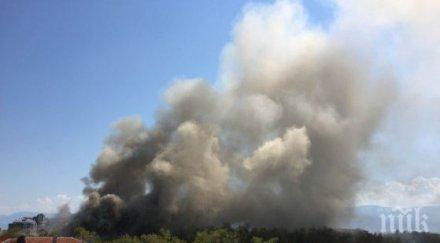 бедствие голям огън бушува пловдив пожарните