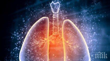 преглеждат безплатно туберкулоза смолян