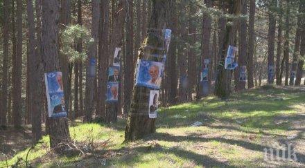 избори български партии закичиха гората джебел плакати
