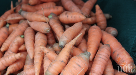 морковите доматите поскъпват