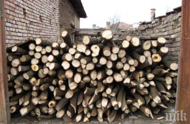Провериха десетки къщи в Добричко за незаконна дървесина

