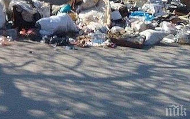 Цигани от Шекера в Пловдив тровят с конска тор и боклуци цял квартал