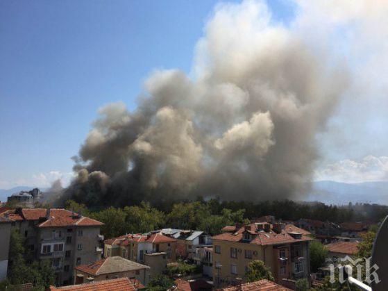 БЕДСТВИЕ! Голям огън бушува край Пловдив, пожарните ги няма още 