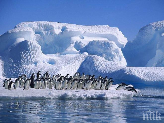 Приключи успешно 25-ата Юбилейна национална антарктическа експедиция, днес екипът се прибира у дома