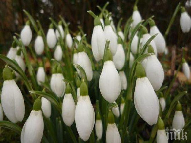 Първият пролетен ден идва със слънце! Температурите скачат до 20 градуса