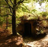 Руснак се крил 4 години в землянка, за да не плаща издръжка на бившата си и децата