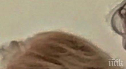 скандал данс разследва общинарка рекет полза българия