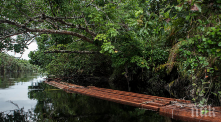 река амазонка оказа стара милиони години