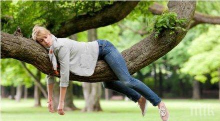 психиатър успокоява пролетната умора физиологично състояние мине дни