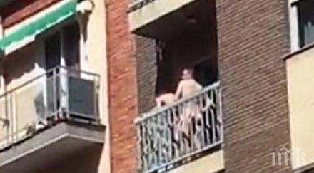 необуздана страст двойка направи терасата докато минувачите снимат видео