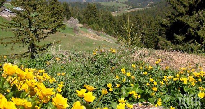 Термометърът скача до 25 градуса утре!