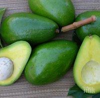 Супер храни за силен имунитет