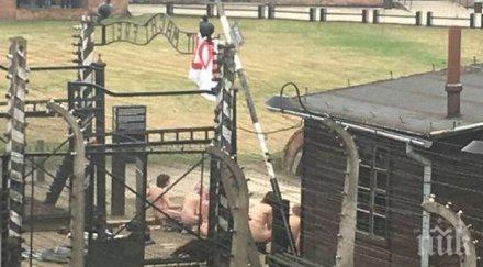 потрес гола демонстрация убийство овца портите аушвиц