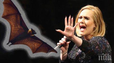 адел посвети изпълнение своя песен жертвите терора лондон