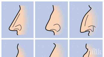 вижте издава формата нослето