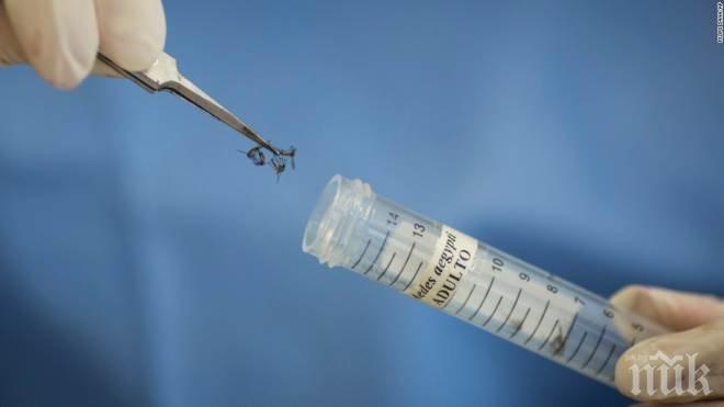 Учени разработиха нова ваксина срещу смъртоносния вирус Зика