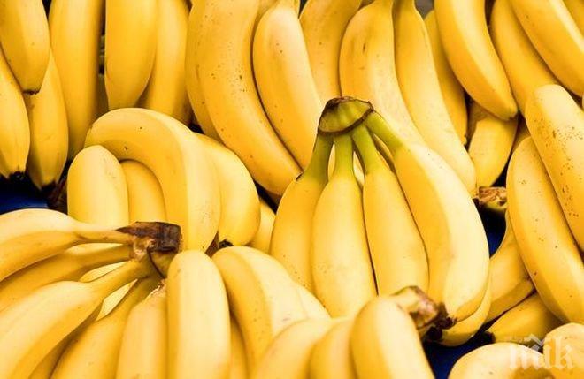 Спипаха 17 кг кокаин, скрит в изкуствени банани 