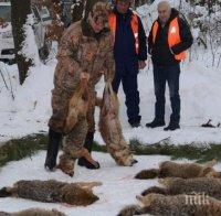 Почти 6 млн. лева са приходите от организиран ловен туризъм у нас за 2016 година