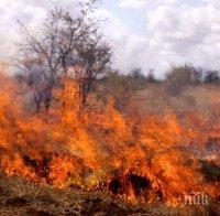 Голям пожар бушува на Е-79 в района на село Мурсалево