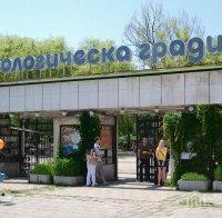 Ремонтират столичния зоопарк с 10 милиона лева 