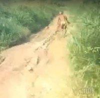 МИСТЕРИЯ: Човекоподобно същество шашна група мотористи в Индонезия (ВИДЕО)