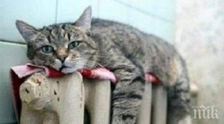 сметки зимата струва 230 900 лева