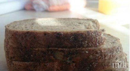 бонус магазина домакинска гъба хляба