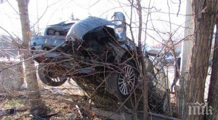 черна статистика българия страната жертви пътя