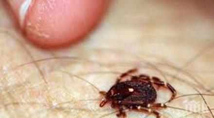 внимание треска натръшка благоевградско