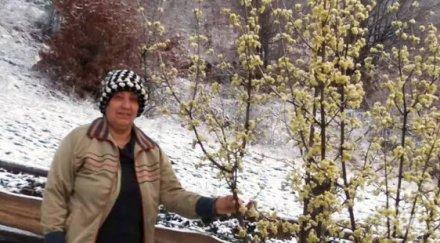 зимата върна ардино осъмна снежна покривка