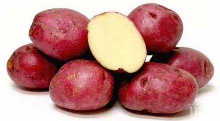 яжте червени картофи повярвате каква лечебна сила имат