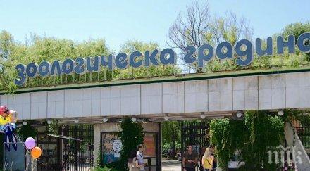 ремонтират столичния зоопарк милиона лева