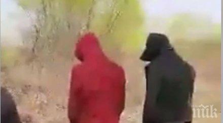 европа въвежда квалификационен паспорт бежанците мигрантите